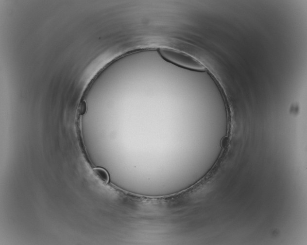 X0000113150901200909251325