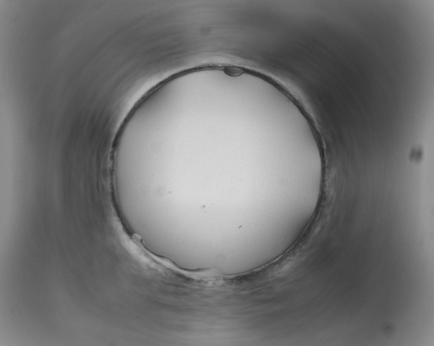 X0000113150903200909251325