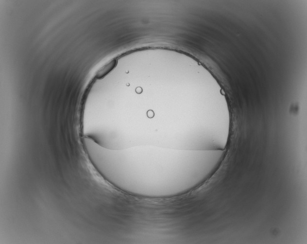 X0000113150904200909251325