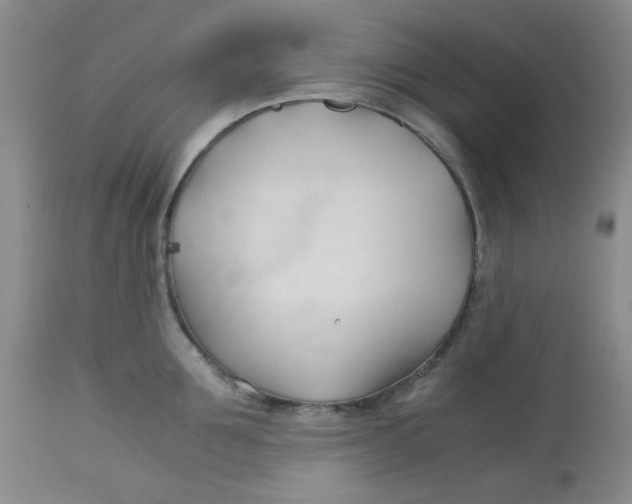 X0000113150907200909251325