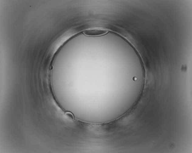 X0000113150909200909251325