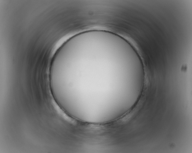 X0000113150910200909251325