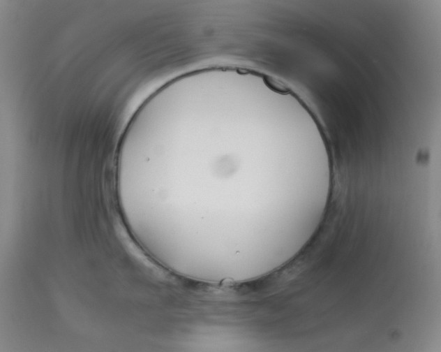 X0000113150911200909251325