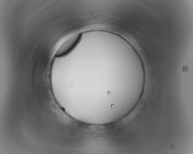 X0000113150912200909251325