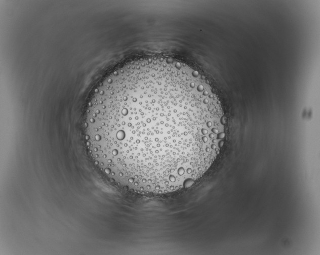 X0000113150913200909251324