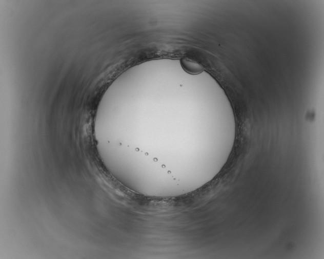 X0000113150914200909251324