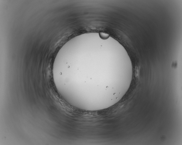 X0000113150915200909251324