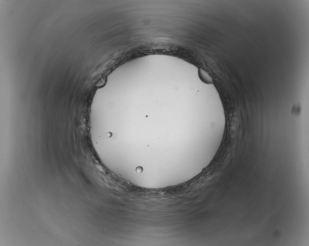 X0000113150916200909251324