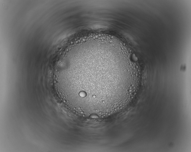 X0000113150917200909251324