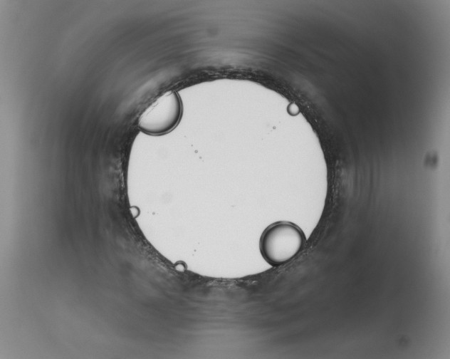 X0000113150918200909251324