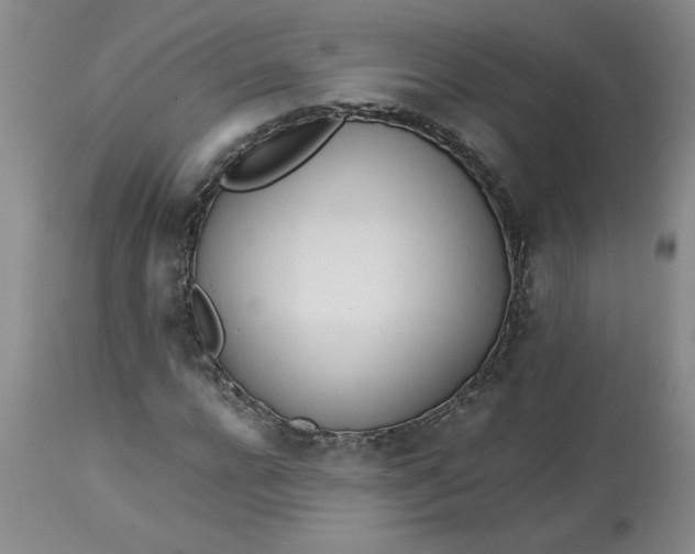 X0000113150920200909251324