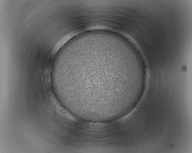 X0000113150921200909251324