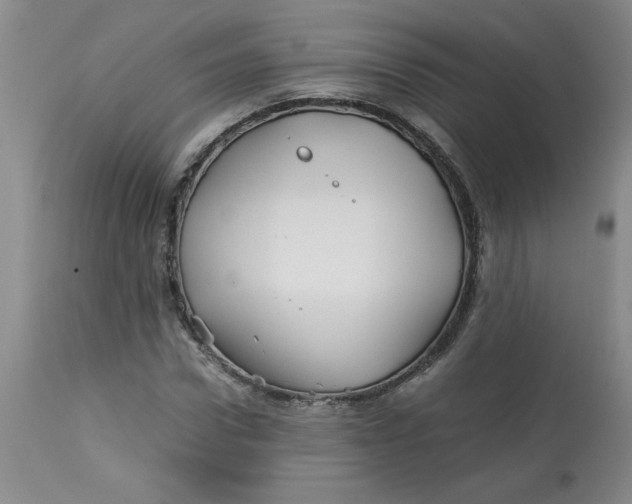 X0000113150922200909251324