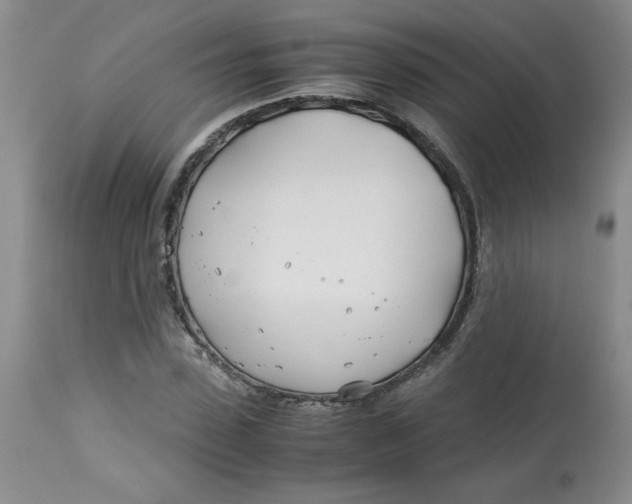 X0000113150923200909251324