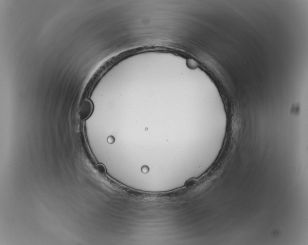 X0000113150924200909251324