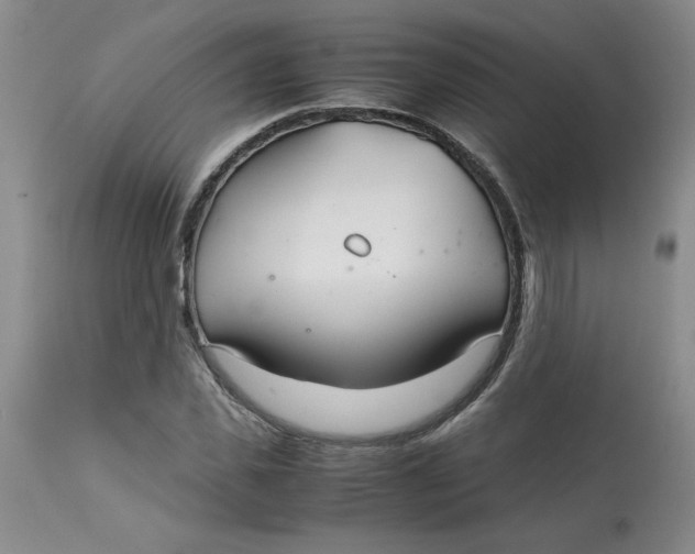 X0000113150925200909251324