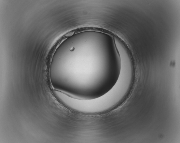 X0000113150926200909251324