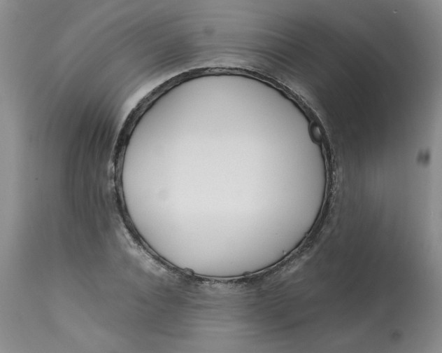 X0000113150928200909251324