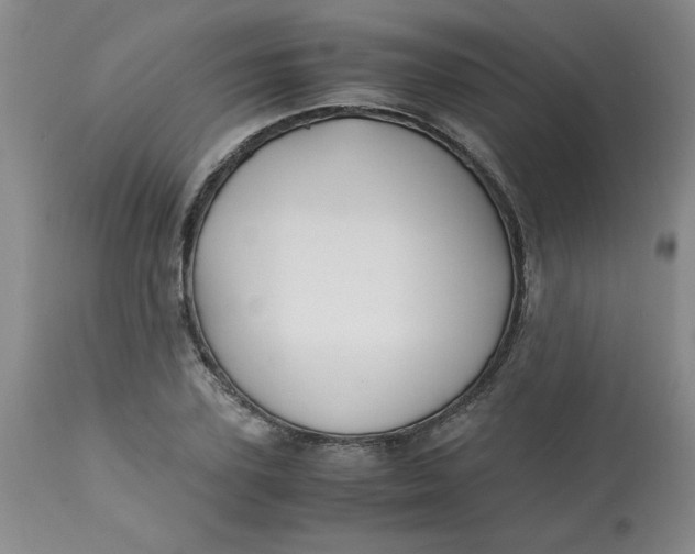 X0000113150931200909251324