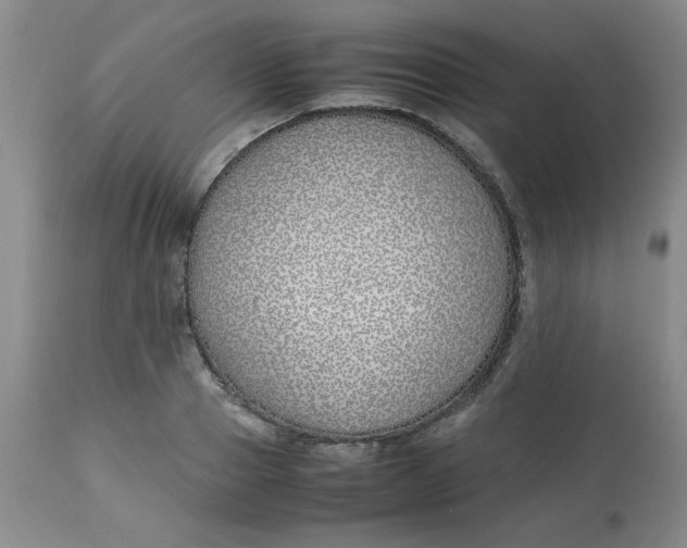 X0000113150937200909251324