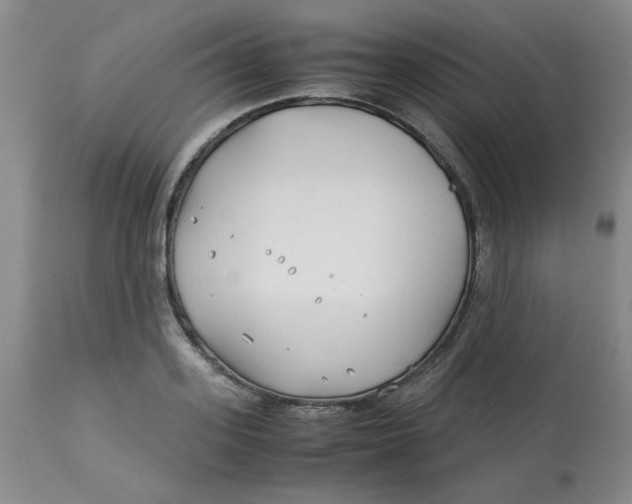 X0000113150939200909251324