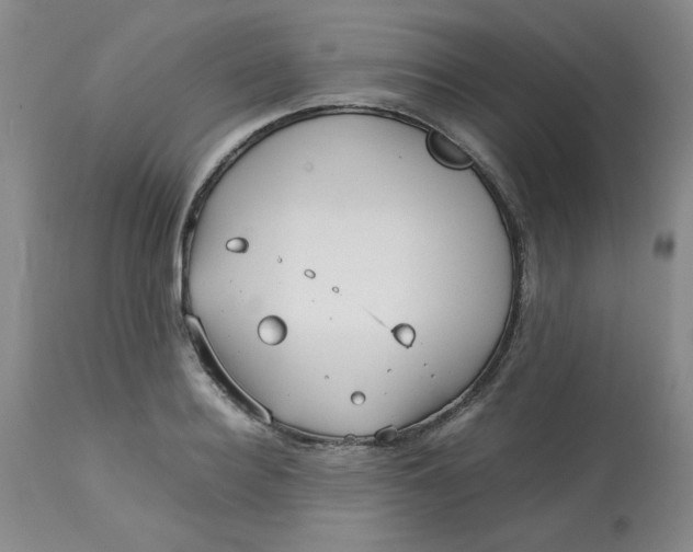 X0000113150940200909251324