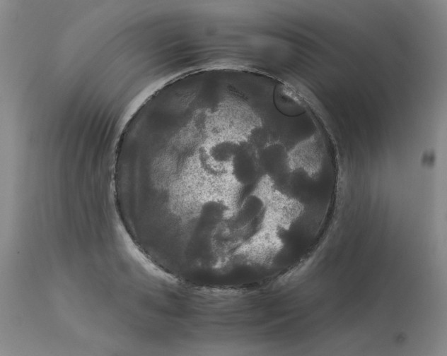 X0000113150941200909251324