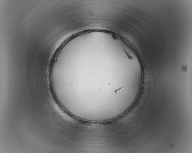 X0000113150942200909251324