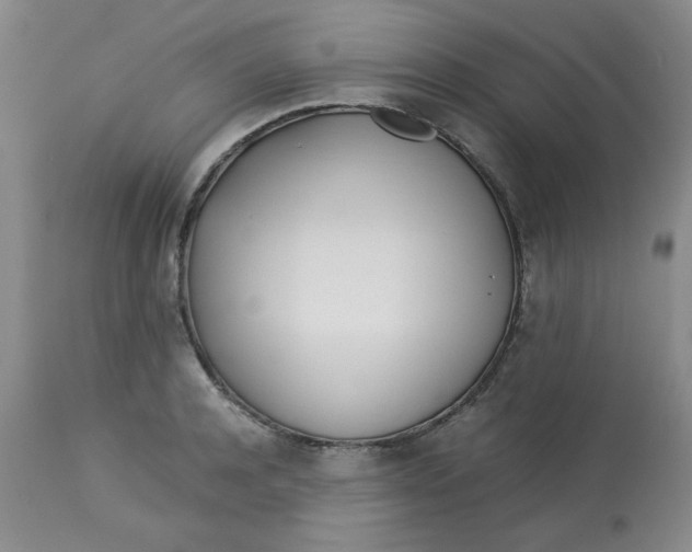 X0000113150944200909251324