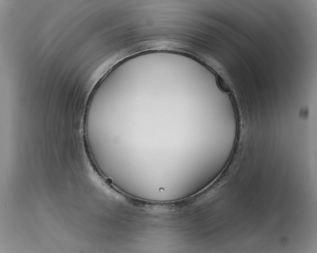 X0000113150946200909251324