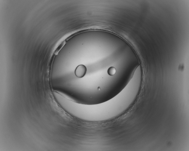 X0000113150948200909251325