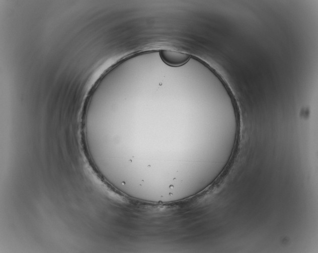 X0000113150949200909251325