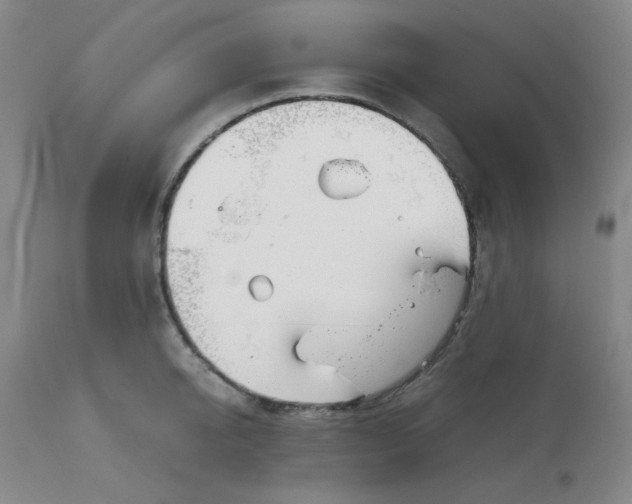 X0000113150950200909251325