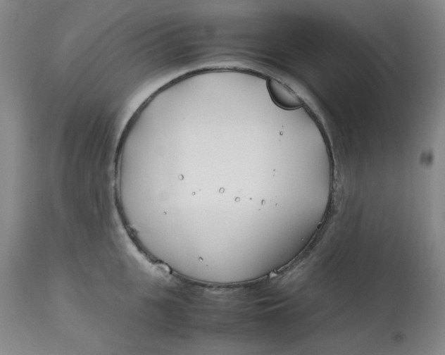 X0000113150951200909251325