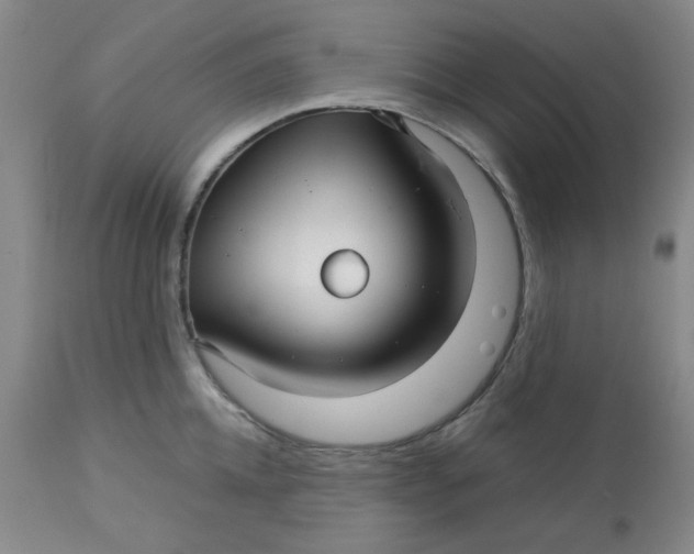 X0000113150952200909251325