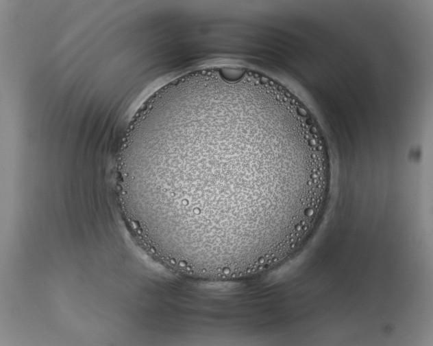 X0000113150953200909251325