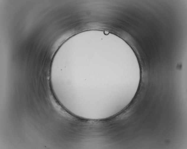 X0000113150954200909251325