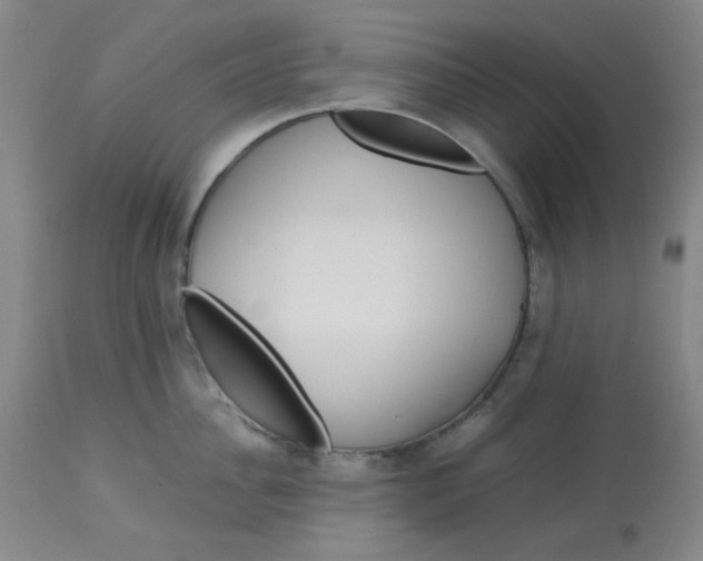 X0000113150956200909251325