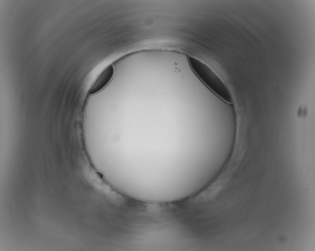 X0000113150960200909251325