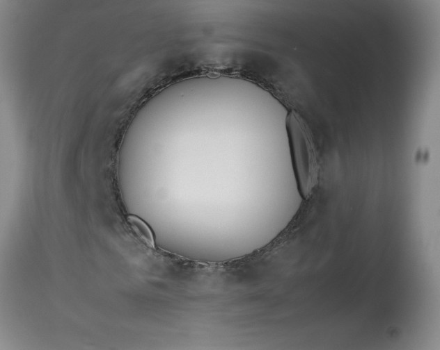 X0000113150961200909251324