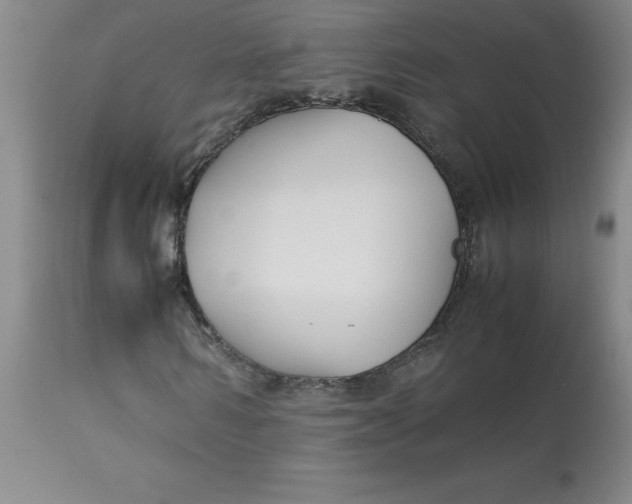 X0000113150962200909251324