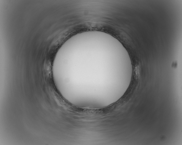 X0000113150963200909251324