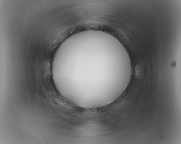 X0000113150964200909251324