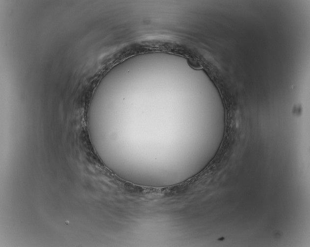 X0000113150965200909251324