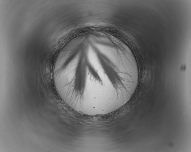 X0000113150966200909251324