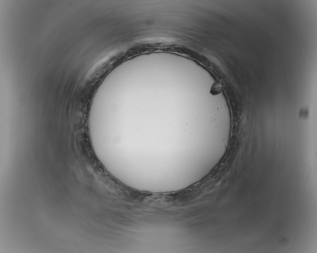 X0000113150967200909251324