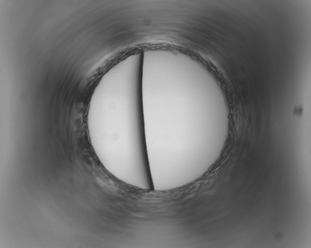 X0000113150968200909251324