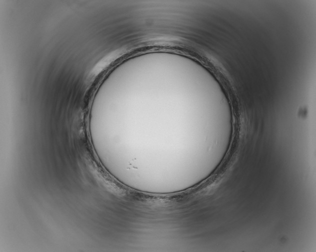 X0000113150970200909251324