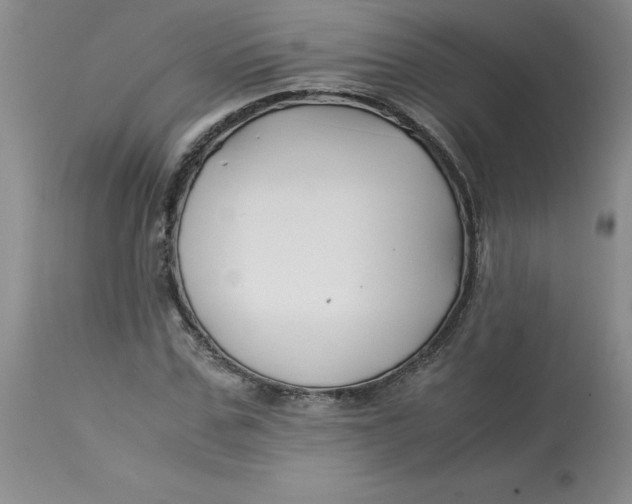 X0000113150971200909251324