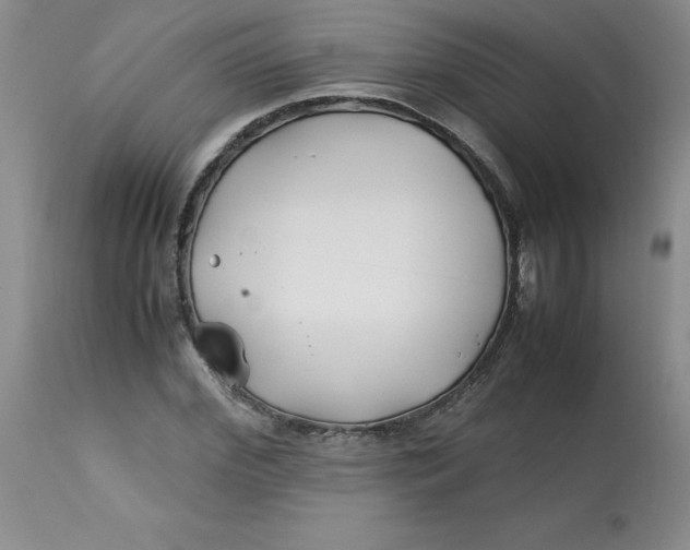 X0000113150972200909251324